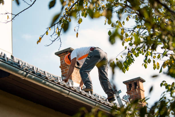 Best Roof Gutter Cleaning  in South Lockport, NY