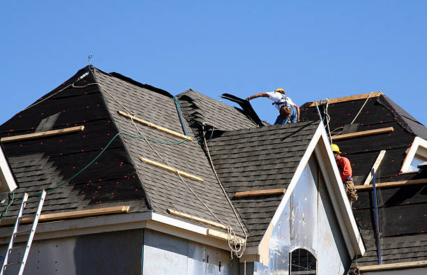 Roof Gutter Cleaning in South Lockport, NY